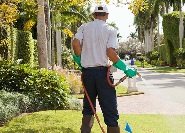 About Humnoke AR Pest Control Pros